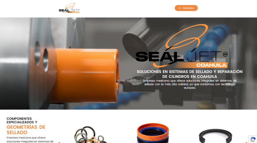 Sel Jet Coahuila